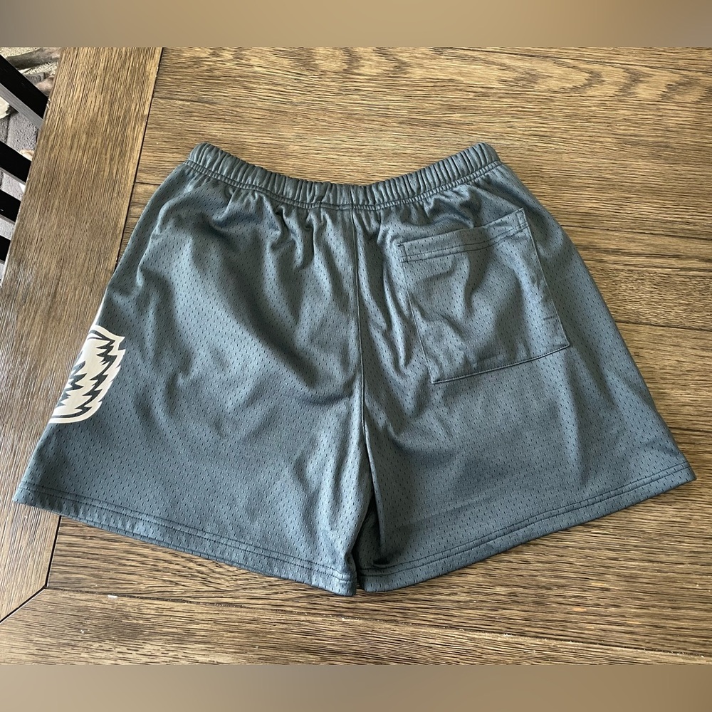 Darc Sport Mesh Shorts - Picture 2 of 6
